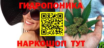 хмурый Тула