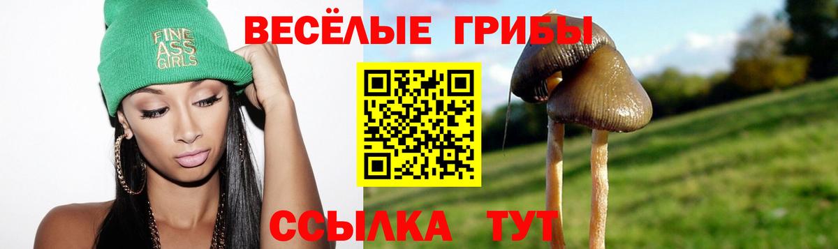 Галлюциногенные грибы прущие грибы  Вход с VPN  Заводоуковск  как найти закладки  Псилоцибиновые грибы прущие грибы 